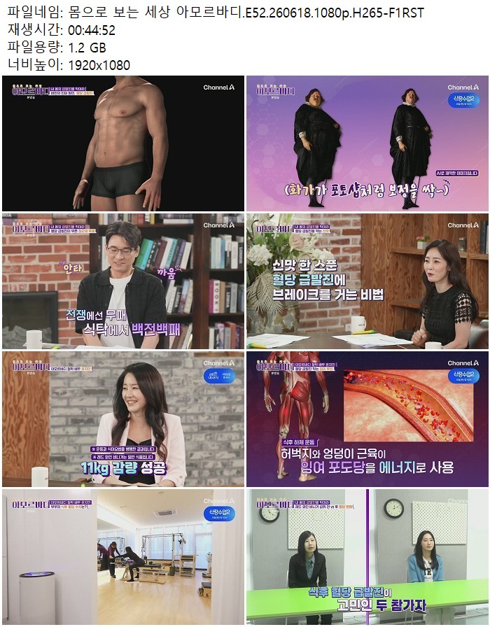 몸으로 보는 세상 아모르바디.E52.260618.1080p.H265