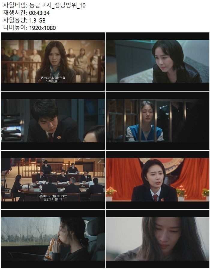 정당방위 - 법과 정의, 인간의 감정을 다룬 드라마_10