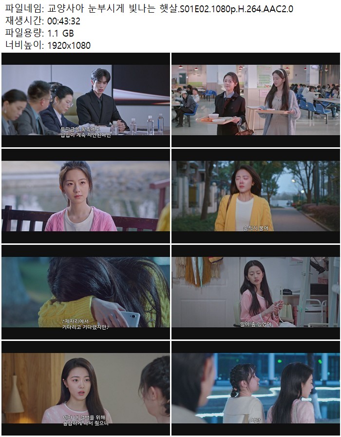 교양사아 눈부시게 빛나는 햇살.S01E02.1080p.H.264.AAC2.0