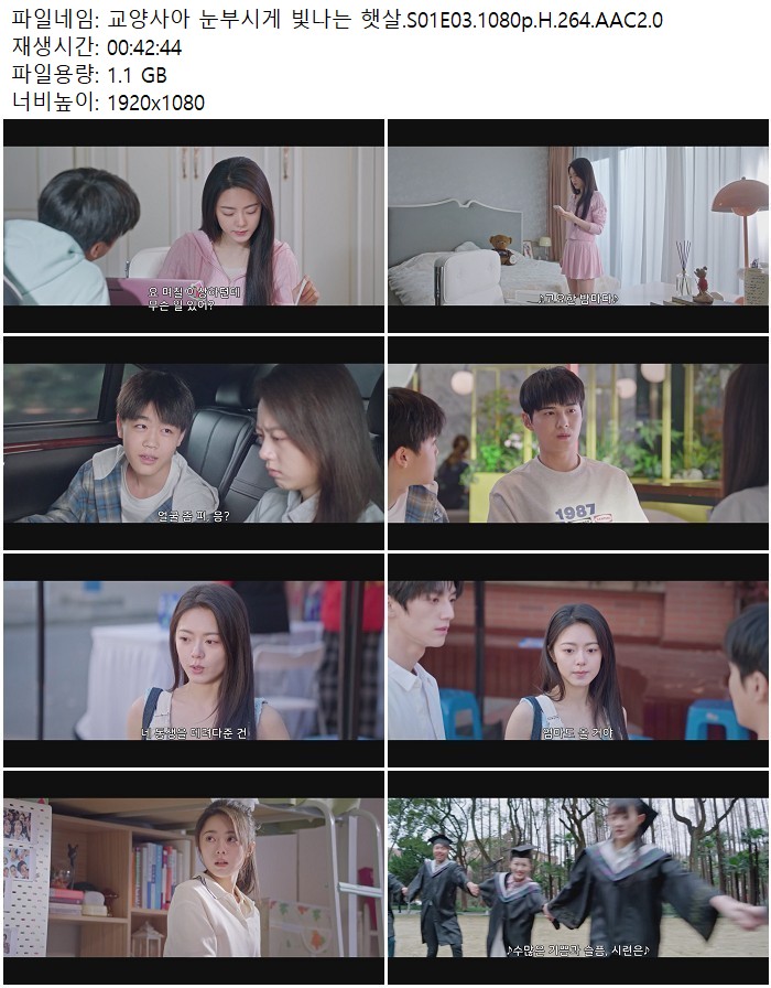 교양사아 눈부시게 빛나는 햇살.S01E03.1080p.H.264.AAC2.0