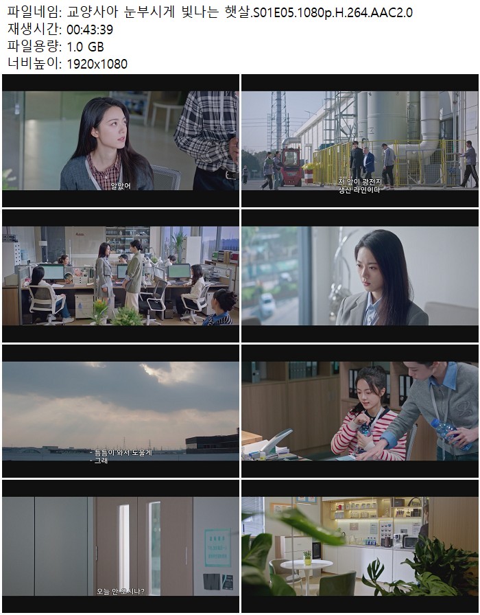 교양사아 눈부시게 빛나는 햇살.S01E05.1080p.H.264.AAC2.0