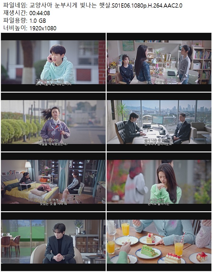 교양사아 눈부시게 빛나는 햇살.S01E06.1080p.H.264.AAC2.0