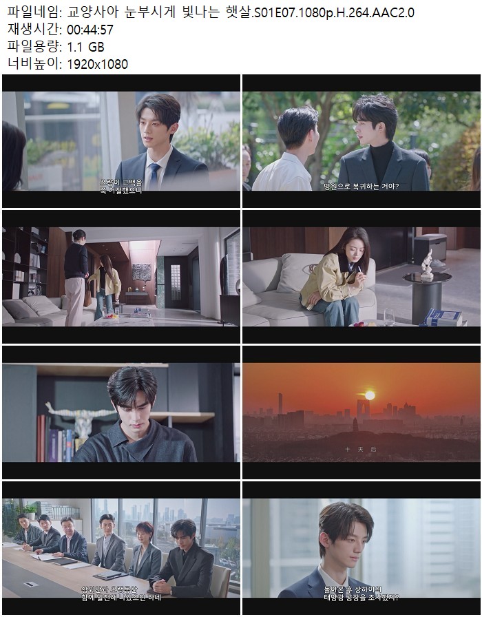 교양사아 눈부시게 빛나는 햇살.S01E07.1080p.H.264.AAC2.0