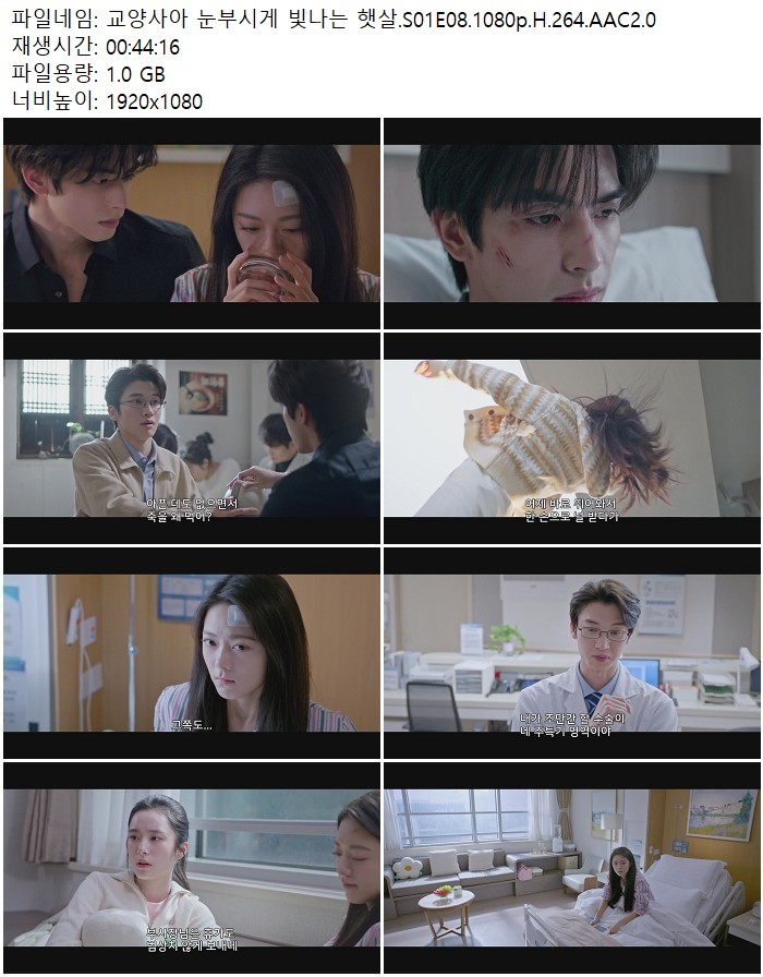 교양사아 눈부시게 빛나는 햇살.S01E08.1080p.H.264.AAC2.0