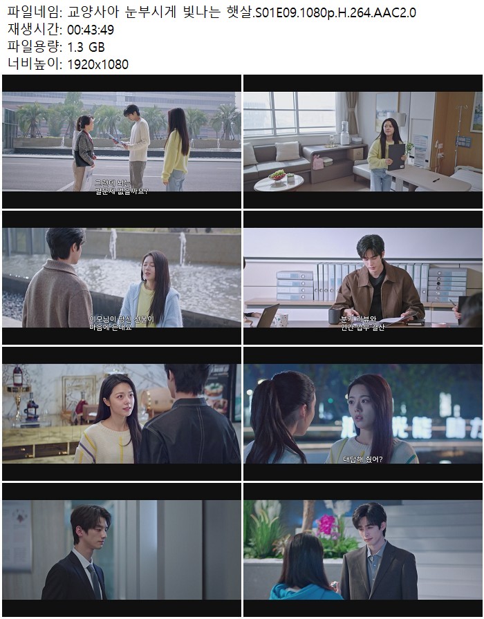 교양사아 눈부시게 빛나는 햇살.S01E09.1080p.H.264.AAC2.0