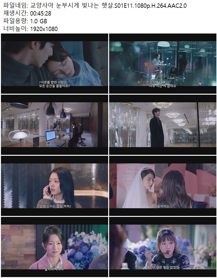 교양사아 눈부시게 빛나는 햇살.S01E11.1080p.H.264.AAC2.0