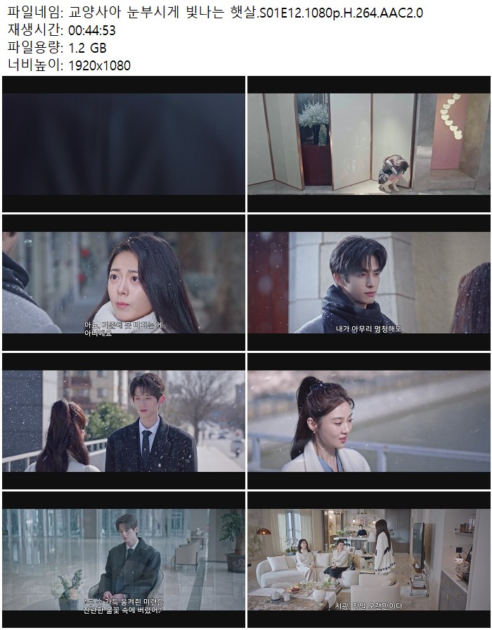 교양사아 눈부시게 빛나는 햇살.S01E12.1080p.H.264.AAC2.0
