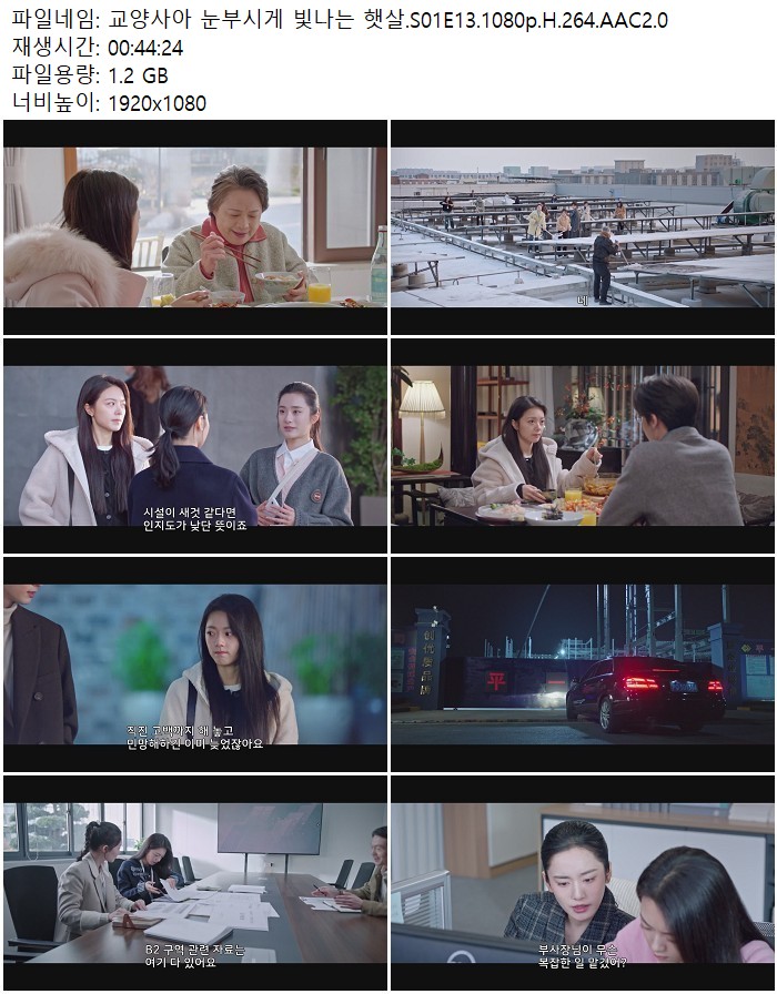 교양사아 눈부시게 빛나는 햇살.S01E13.1080p.H.264.AAC2.0