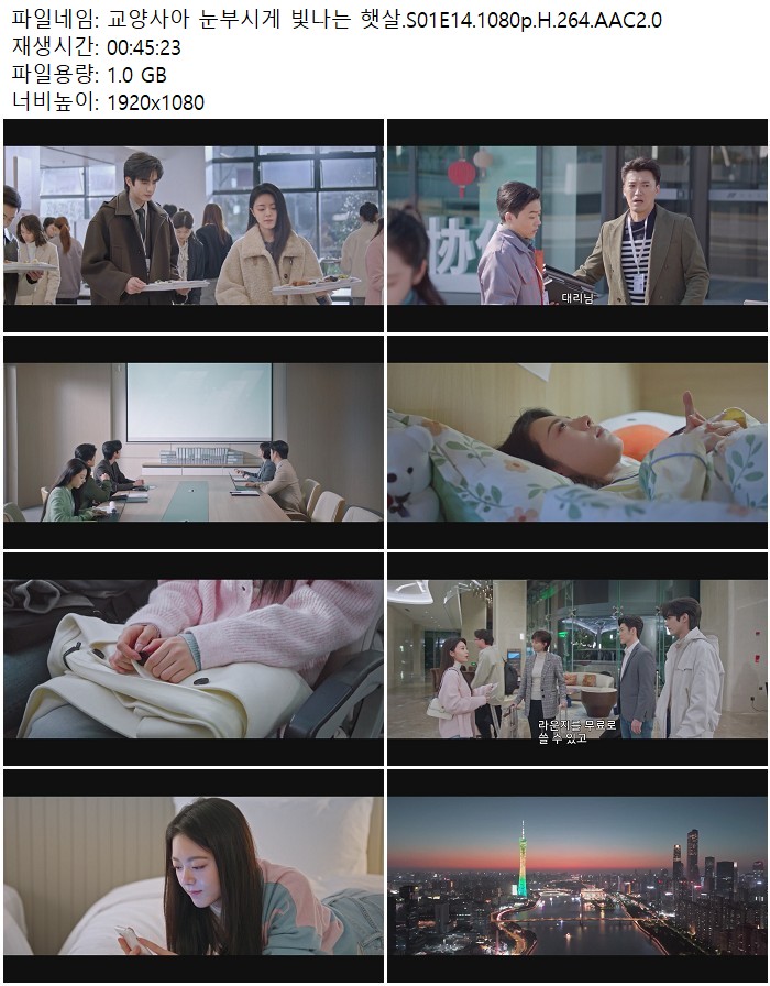 교양사아 눈부시게 빛나는 햇살.S01E14.1080p.H.264.AAC2.0