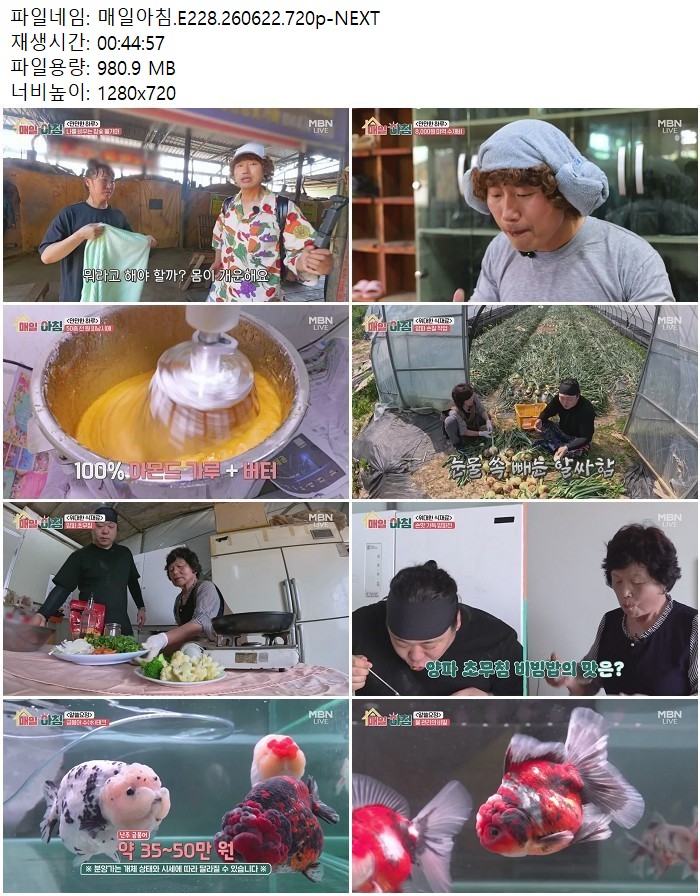 매일아침.E228.260622.720p-NEXT