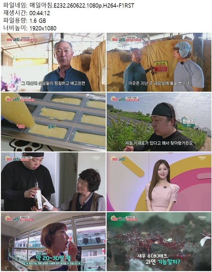 매일아침.E232.260622.1080p.H264