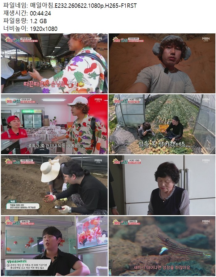 매일아침.E232.260622.1080p.H265