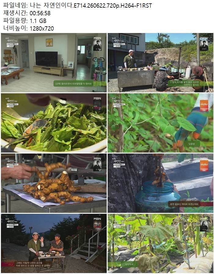 나는 자연인이다.E714.260622.720p.H264