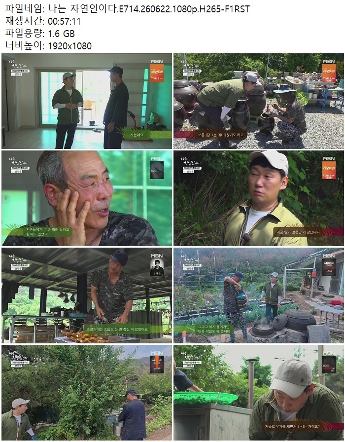 나는 자연인이다.E714.260622.1080p.H265