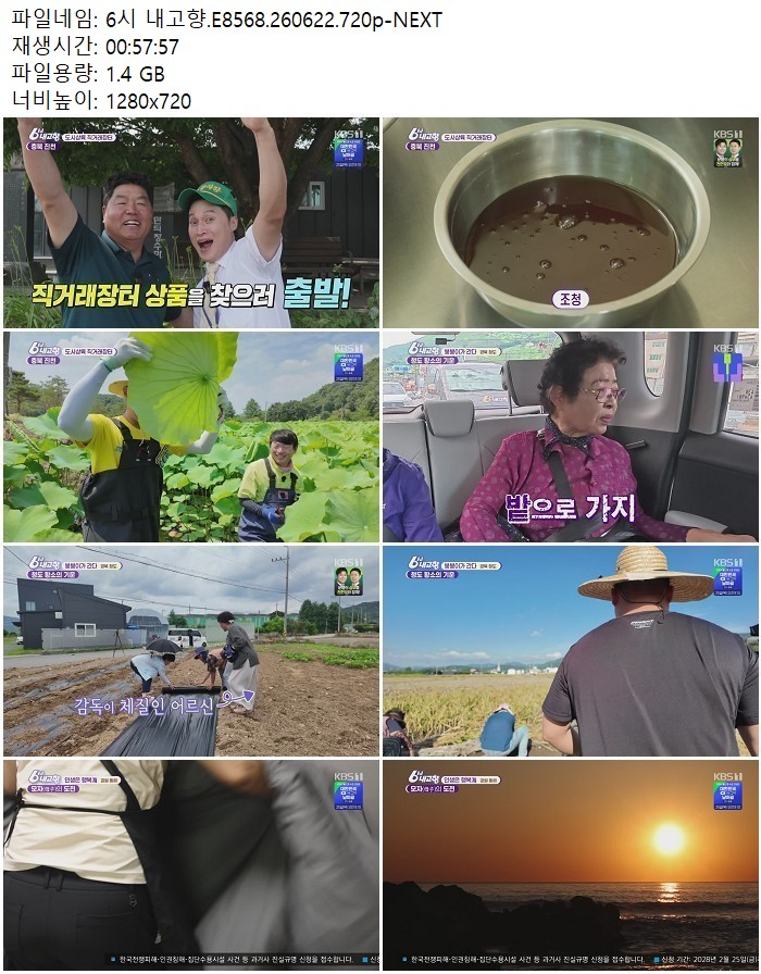 6시 내고향.E8568.260622.720p-NEXT