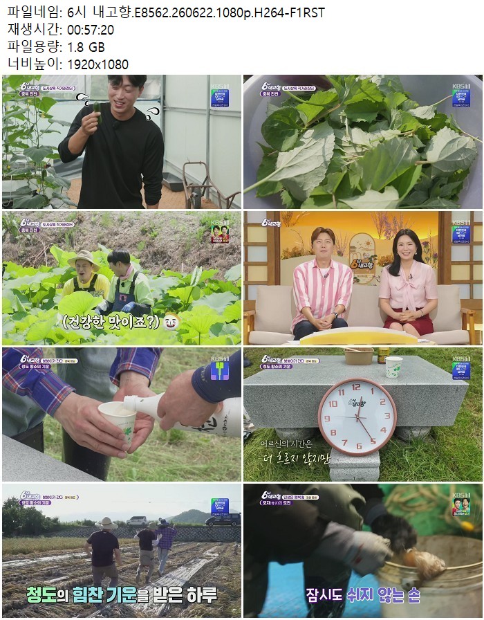6시 내고향.E8562.260622.1080p.H264