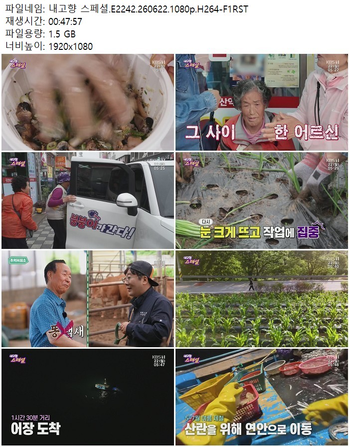 내고향 스페셜.E2242.260622.1080p.H264