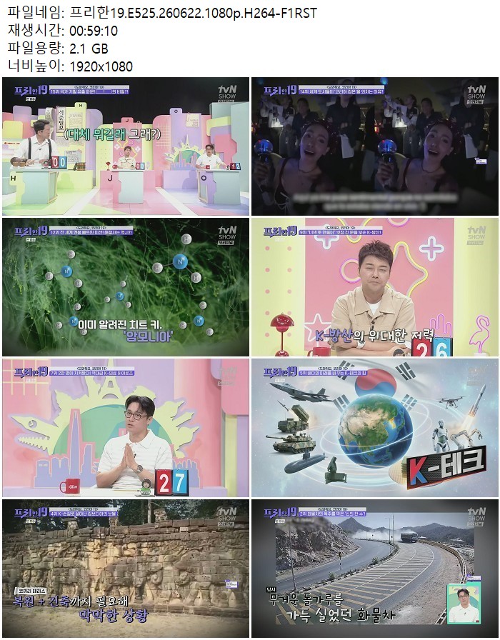 프리한19.E525.260622.1080p.H264
