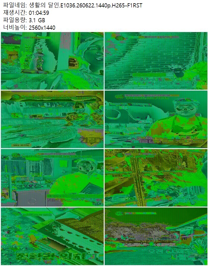 생활의 달인.E1036.260622.1440p.H265