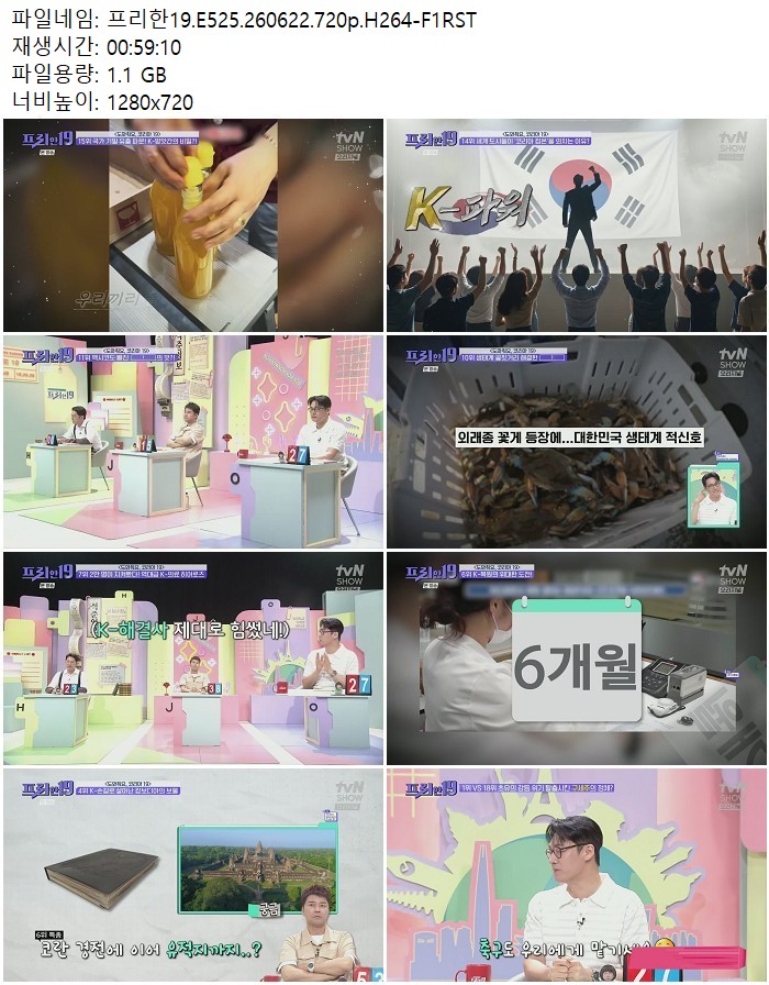 프리한19.E525.260622.720p.H264
