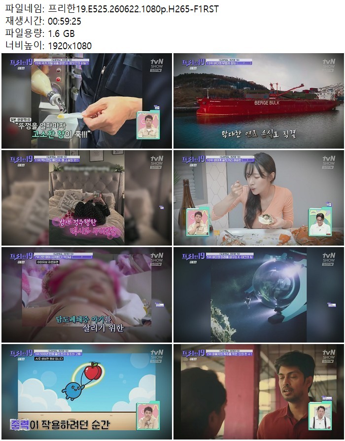 프리한19.E525.260622.1080p.H265