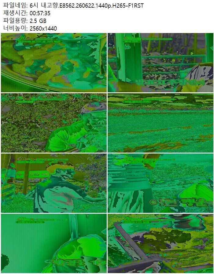 6시 내고향.E8562.260622.1440p.H265