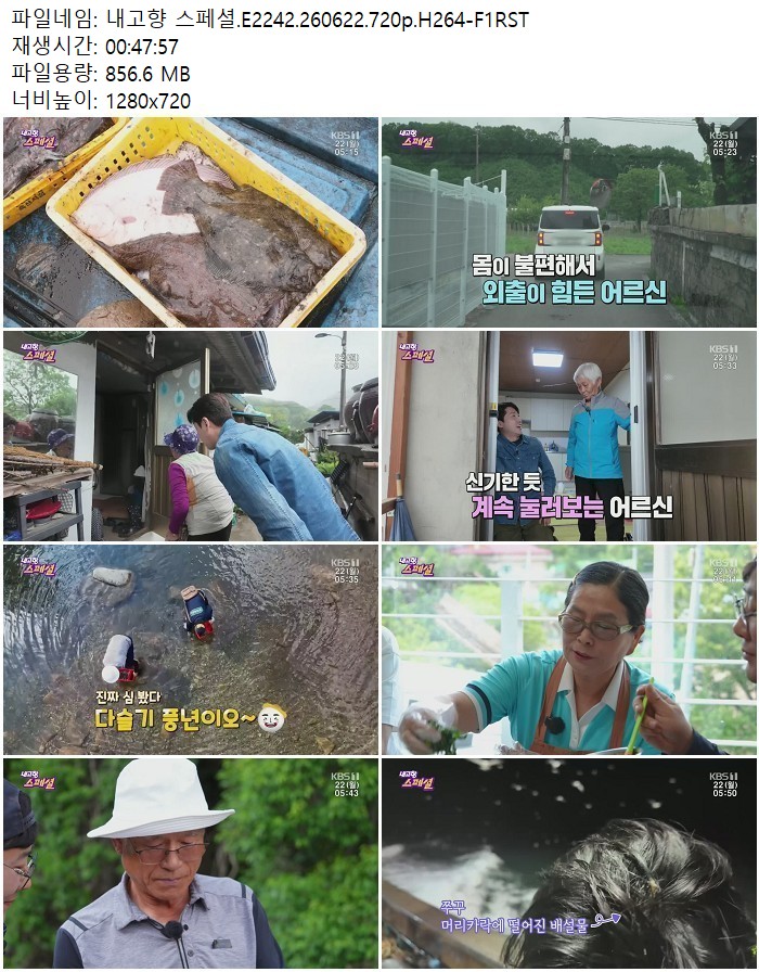 내고향 스페셜.E2242.260622.720p.H264