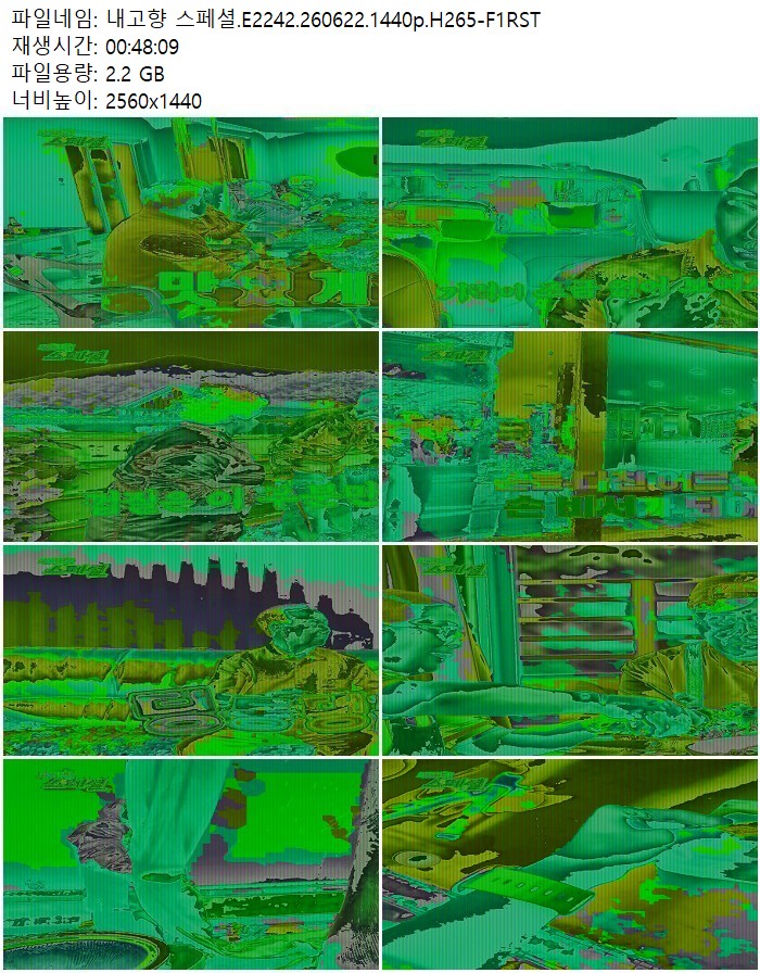 내고향 스페셜.E2242.260622.1440p.H265