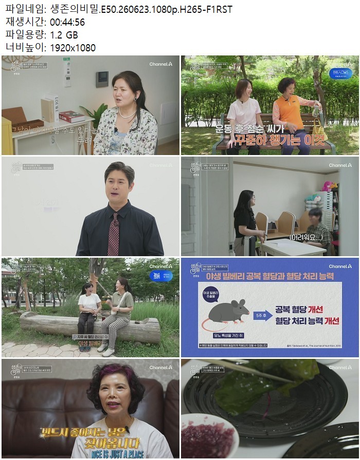 생존의비밀.E50.260623.1080p.H265