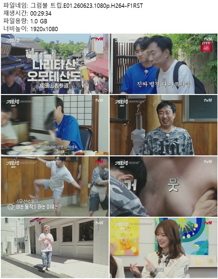 그럼불 트립.E01.260623.1080p.H264