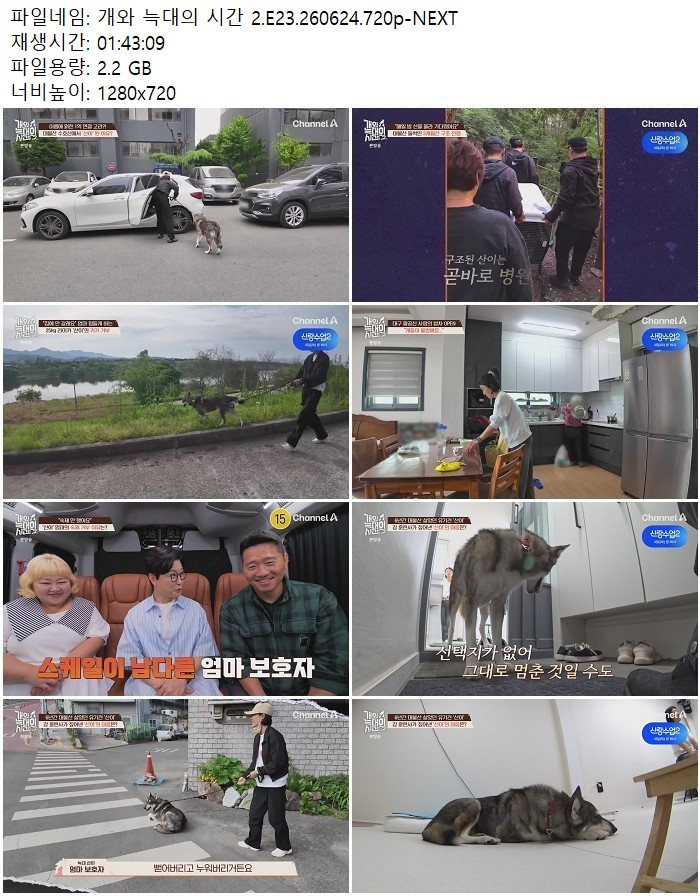 개와 늑대의 시간 2.E23.260624.720p-NEXT