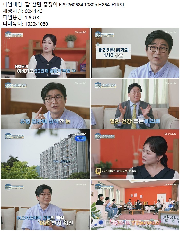 잘 살면 좋잖아.E29.260624.1080p.H264