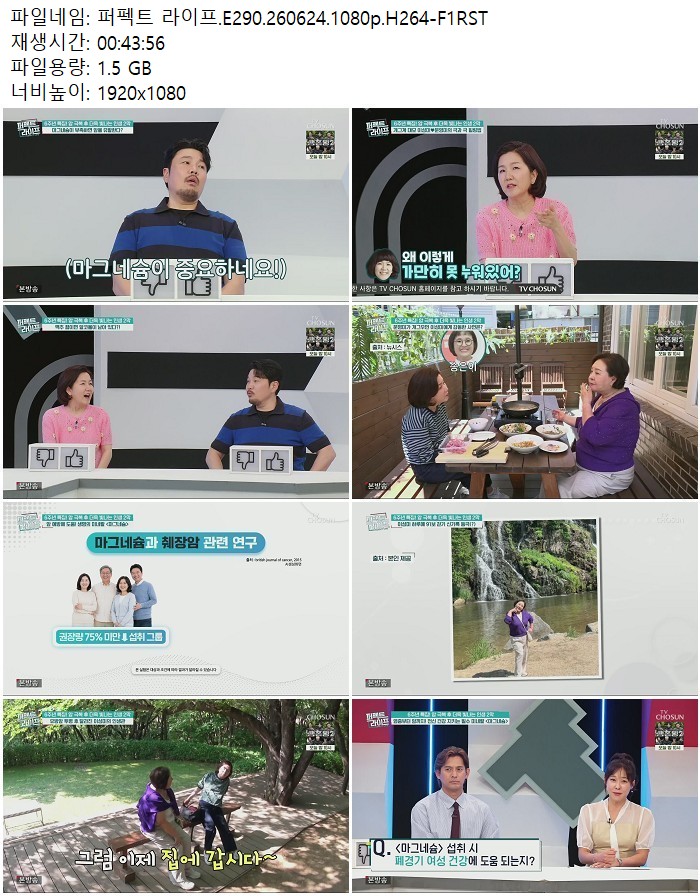 퍼펙트 라이프.E290.260624.1080p.H264