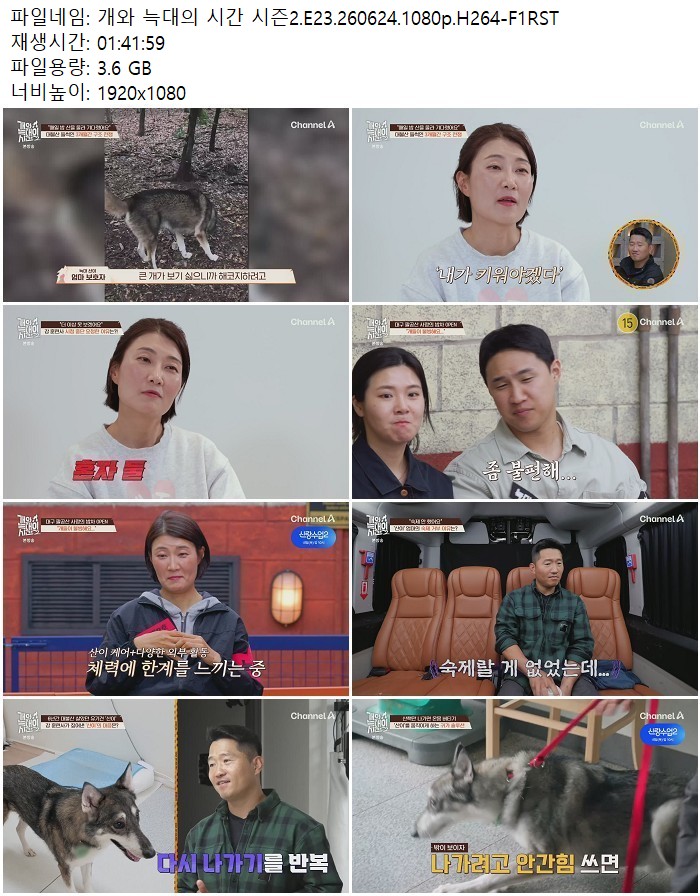 개와 늑대의 시간 시즌2.E23.260624.1080p.H264