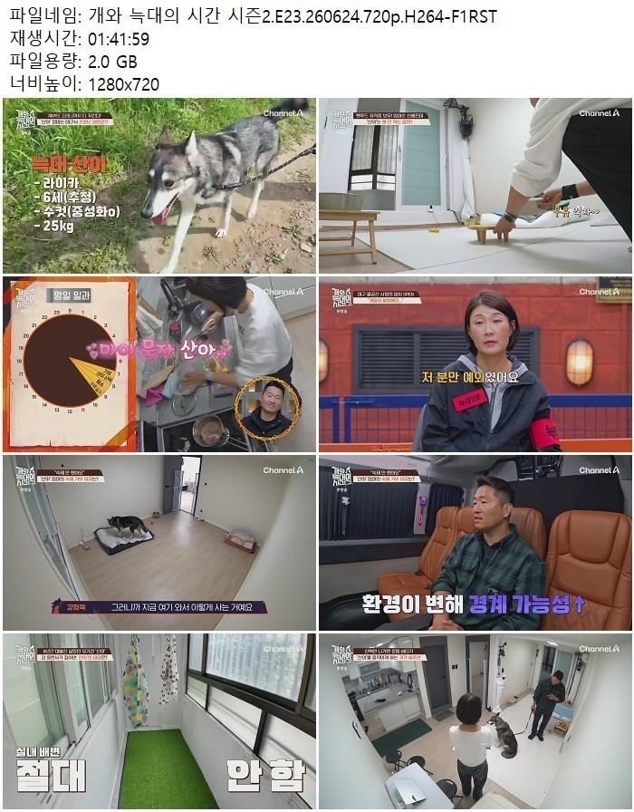 개와 늑대의 시간 시즌2.E23.260624.720p.H264