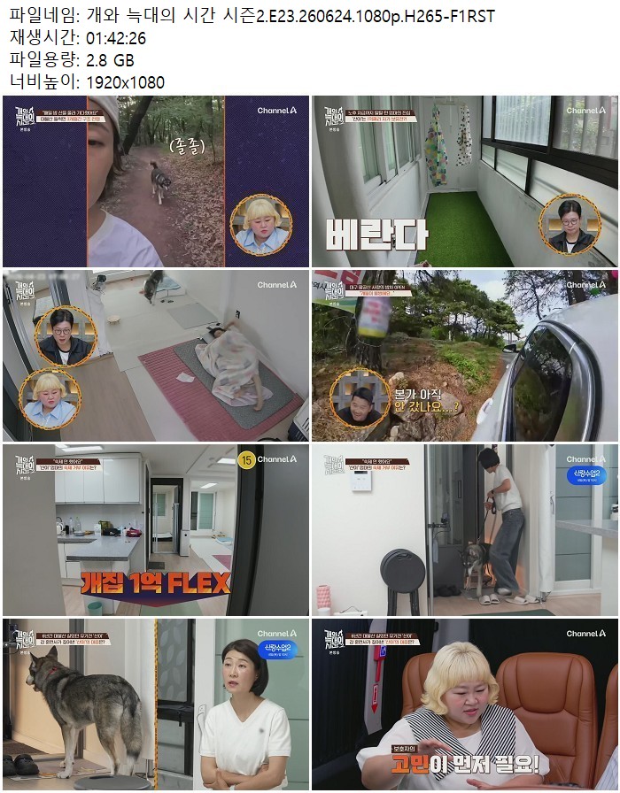 개와 늑대의 시간 시즌2.E23.260624.1080p.H265
