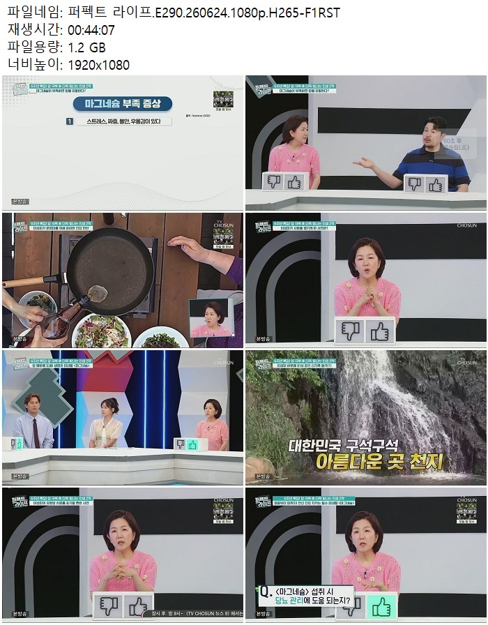 퍼펙트 라이프.E290.260624.1080p.H265