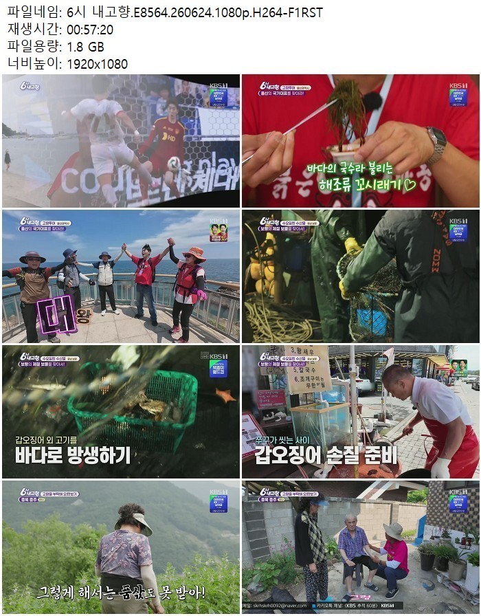 6시 내고향.E8564.260624.1080p.H264