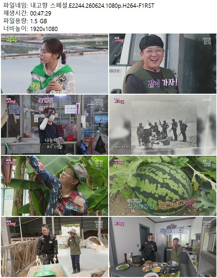내고향 스페셜.E2244.260624.1080p.H264