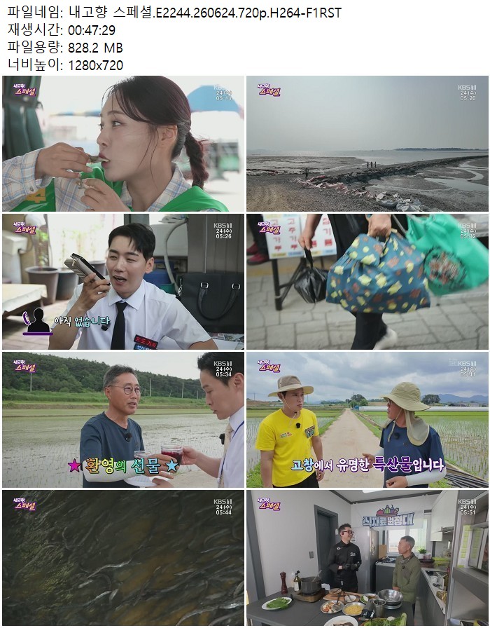 내고향 스페셜.E2244.260624.720p.H264