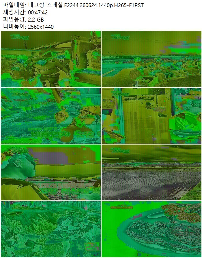 내고향 스페셜.E2244.260624.1440p.H265