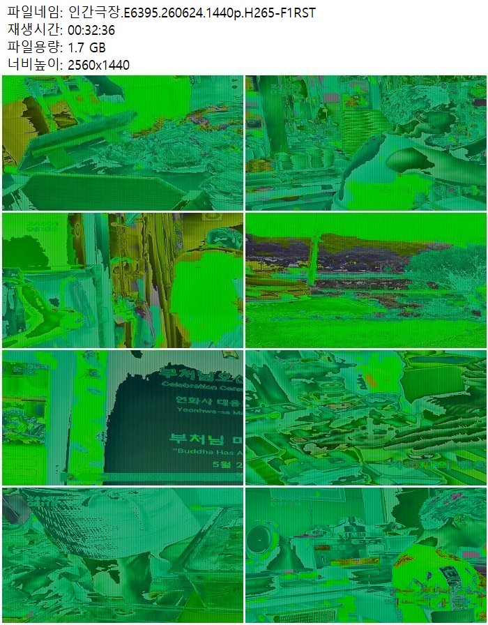 인간극장.E6395.260624.1440p.H265