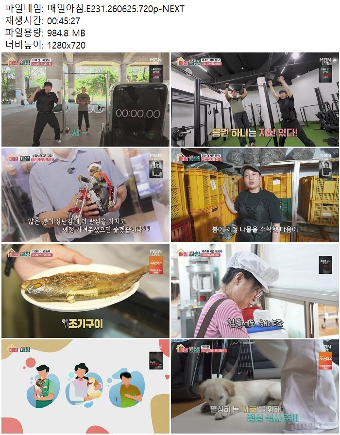 매일아침.E231.260625.720p-NEXT