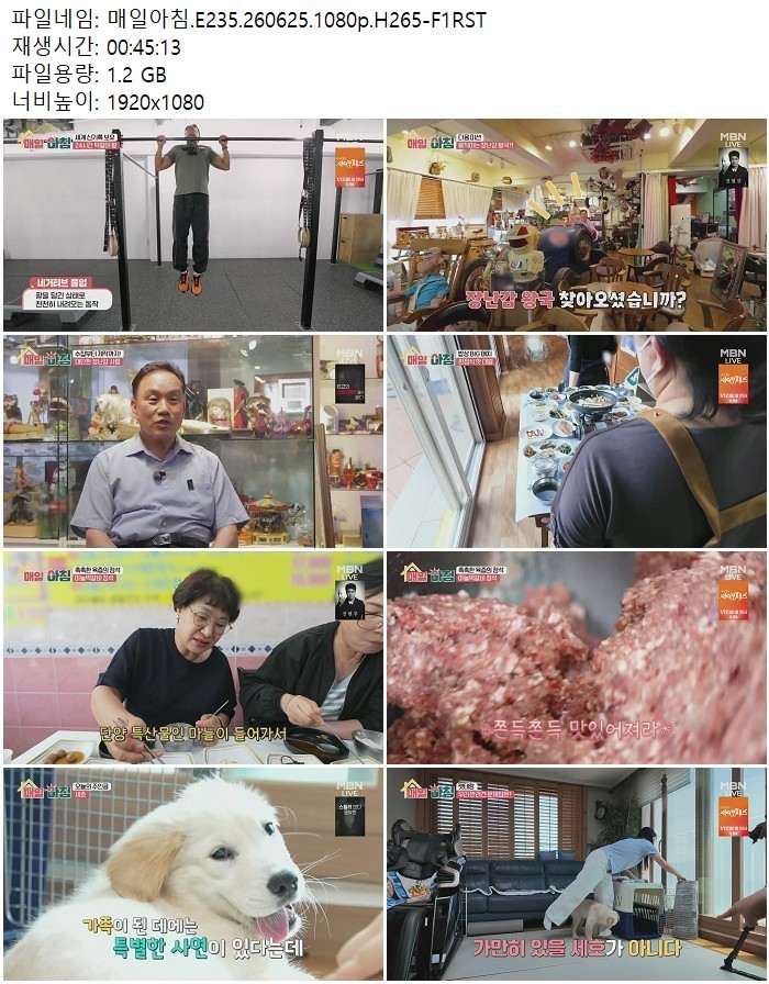 매일아침.E235.260625.1080p.H265