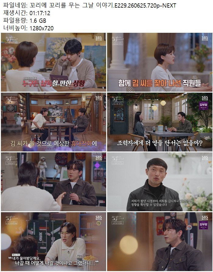 꼬리에 꼬리를 무는 그날 이야기.E229.260625.720p-NEXT