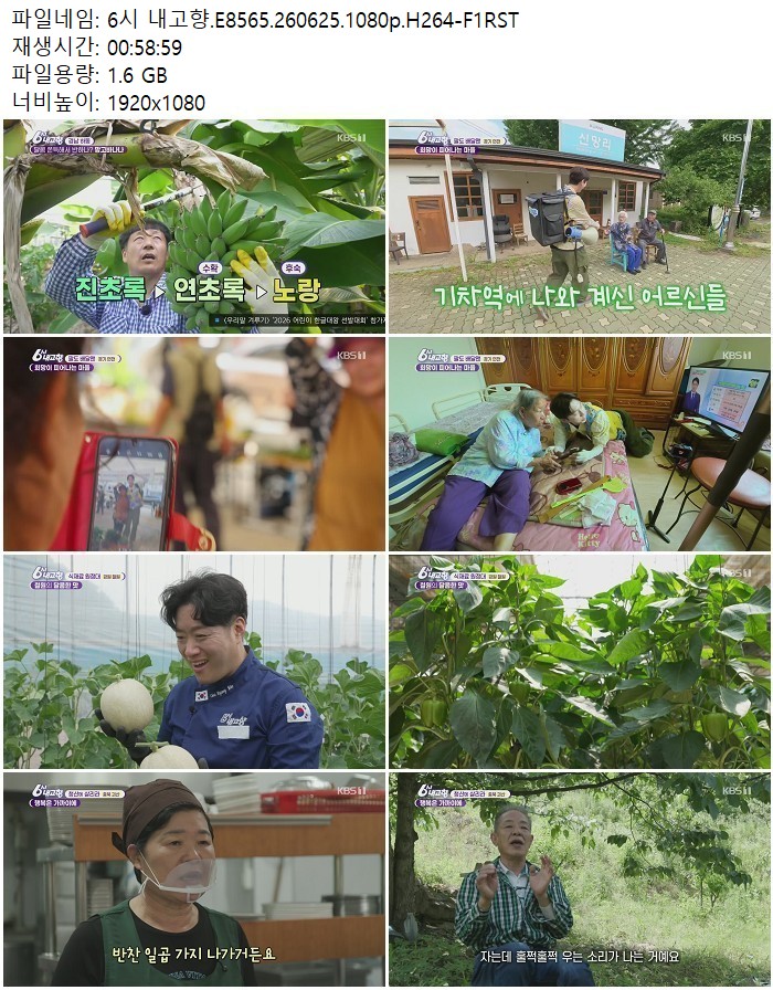 6시 내고향.E8565.260625.1080p.H264