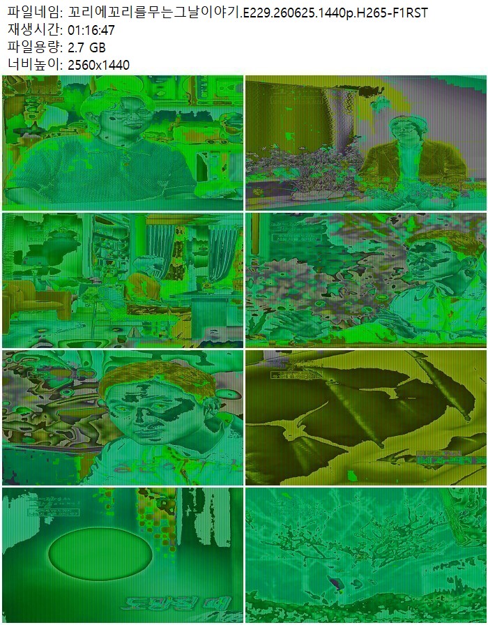 꼬리에꼬리를무는그날이야기.E229.260625.1440p.H265