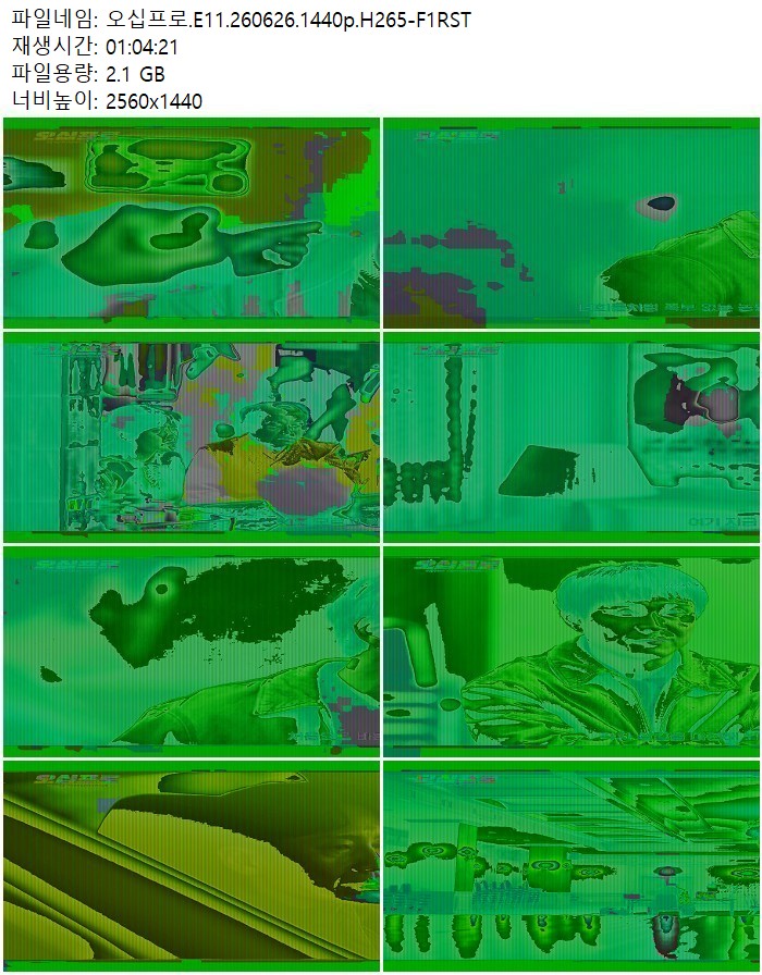 오십프로.E11.260626.1440p.H265