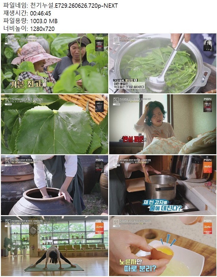 천기누설.E729.260626.720p-NEXT