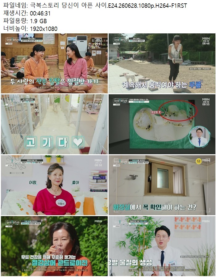 극복스토리 당신이 아픈 사이.E24.260628.1080p.H264